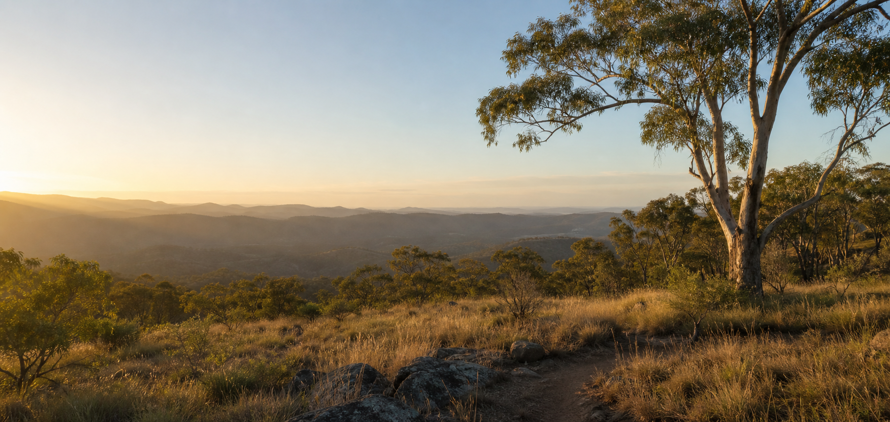 Open bushland and distant range at golden hour